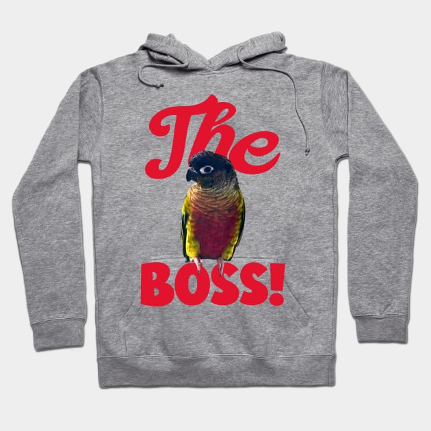 The Boss Green Cheek Conure Parrot Bird, Love for birds Hoodie by TatianaLG